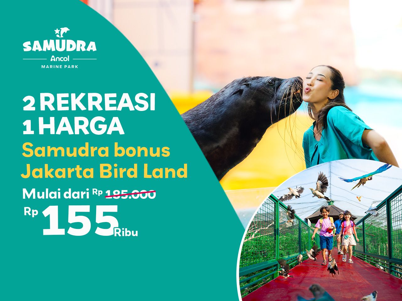 Main Bareng Dolphin Di Samudra Ancol Bonus Ke Jakarta Bird Land!